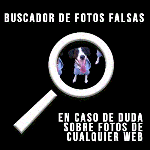 BUSCADOR FOTOS FALSAS ESCORT INTERNET