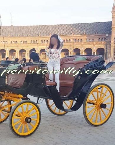 la mejor pagina web de putas de sevilla