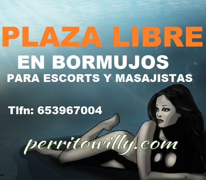 PLAZA LIBRE EN BORMUJOS PARA MASAJISTAS Y ESCORTS (PISO DE LUJO)